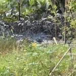 1393930xeu20251030095902