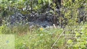 1393930xeu20251030095902