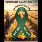 Polish_20251030_094926617