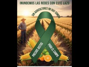 Polish_20251030_094926617