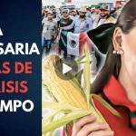 Screenshot_20251030_102558_WhatsApp