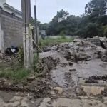 Screenshot_20251031_120335_Chrome