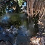 a0b3648f-0baa-475b-9fa1-58b008b57fdc-780x470