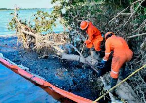 113445251110pemex640