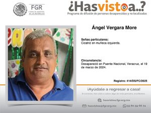 2 Ángel Vergara More copia