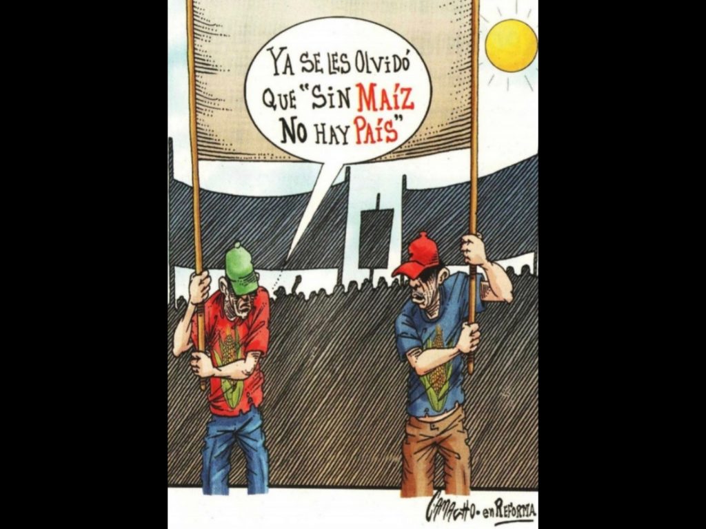 Polish_20251101_094550105