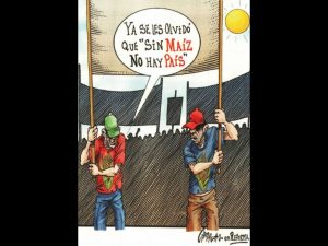 Polish_20251101_094550105