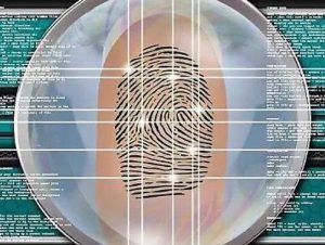 ee9e51_dbdcf579b8f04439934d5d32be6e0007~mv2