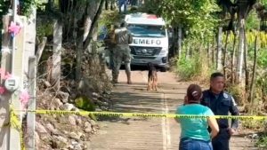 f960x540-130177_204252_5050