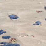 1399935xeu20251216153703