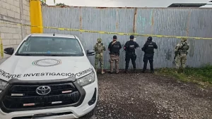 1400042xeu20251217141656