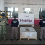 1400110xeu20251218101646