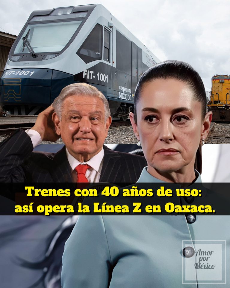 605641247_1330203005817470_1777331547553195551_n