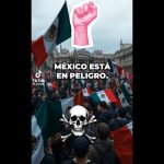 Polish_20251203_124615803