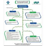 Polish_20251205_113636111