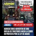 Polish_20251206_100743340