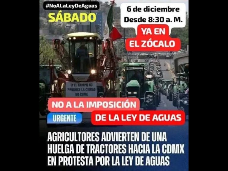 Polish_20251206_100743340