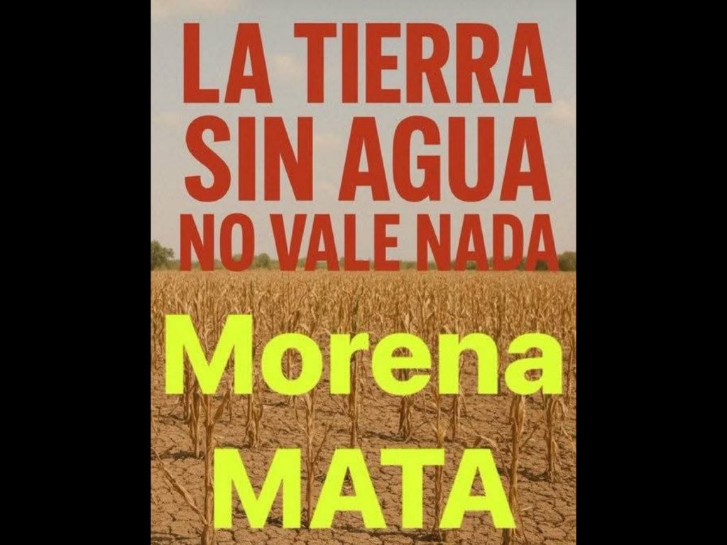 Polish_20251208_093056630