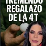 Screenshot_20251203_120518_WhatsApp