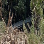 Screenshot_20251230_101924_Chrome