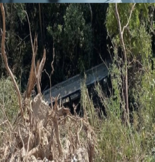 Screenshot_20251230_101924_Chrome