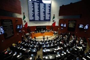 senado-reforma-electoral-sera-plato-fuerte-del-proximo-periodo-de-sesiones_cca077da-f879-4468-83a4-aecc9c439b97_medialjnimgndimage=fullsize