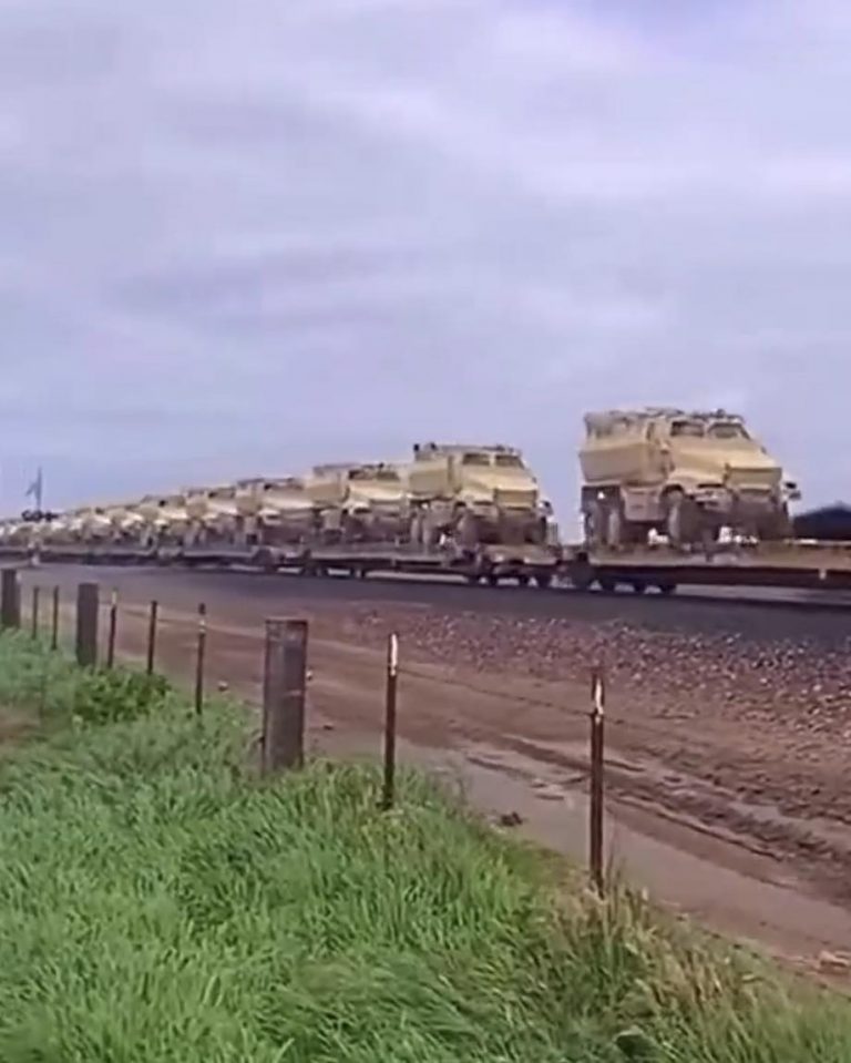 614376142_1451718972992217_6341156497497086853_n