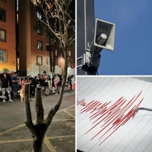 615441084_945236164530986_4957846653674073363_n