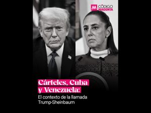 Polish_20260113_104716080