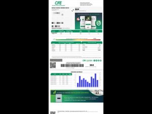 Polish_20260116_093726569