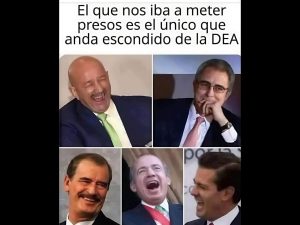 Polish_20260123_092611016