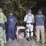 e3b75da6-3151-4e8f-88a5-bc2bd68c8778