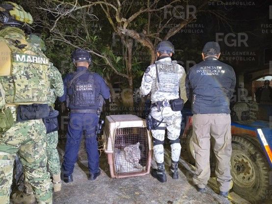 e3b75da6-3151-4e8f-88a5-bc2bd68c8778