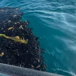 1410134xeu20260309214459