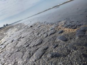 5ed1d1f7-2e51-49d9-9bc4-5bf0ec3c7fb2