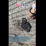 Screenshot_20260310_155608_Chrome