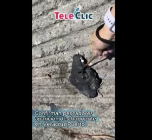 Screenshot_20260310_155608_Chrome