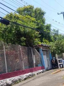 115957escuela_tomada1