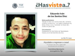 Layout cedulas OK