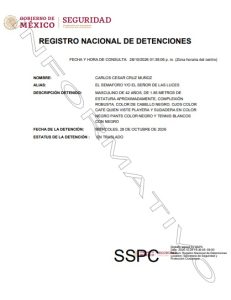 reporte ok
