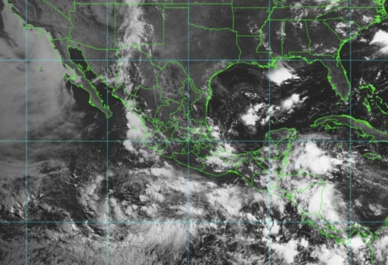 Captura-de-Pantalla-2025-07-29-a-las-9.18.45
