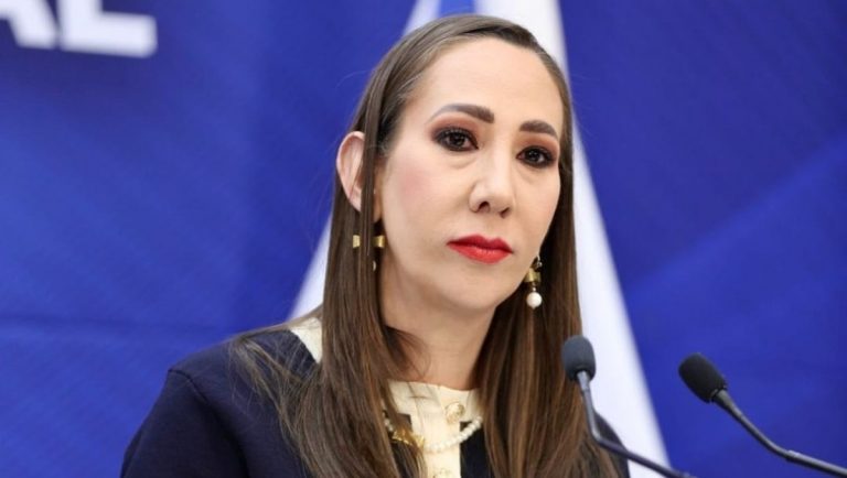 noemi-luna-vicecoordinadora-pan-diputados