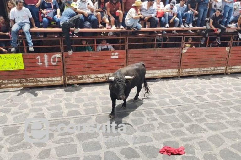 toros_en_xico1_marca