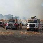 090451pajaritos_2_1
