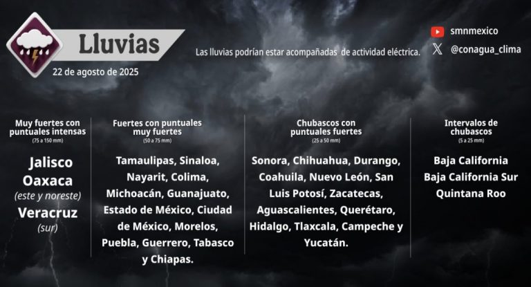 Captura-de-Pantalla-2025-08-23-a-las-8.57.48