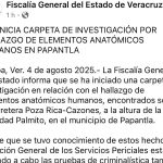 fge-abre-investigacion-por-restos-humanos-en-papantla-649864