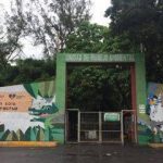 trasciende-mortandad-de-animales-en-zoologico-de-veracruz-119445