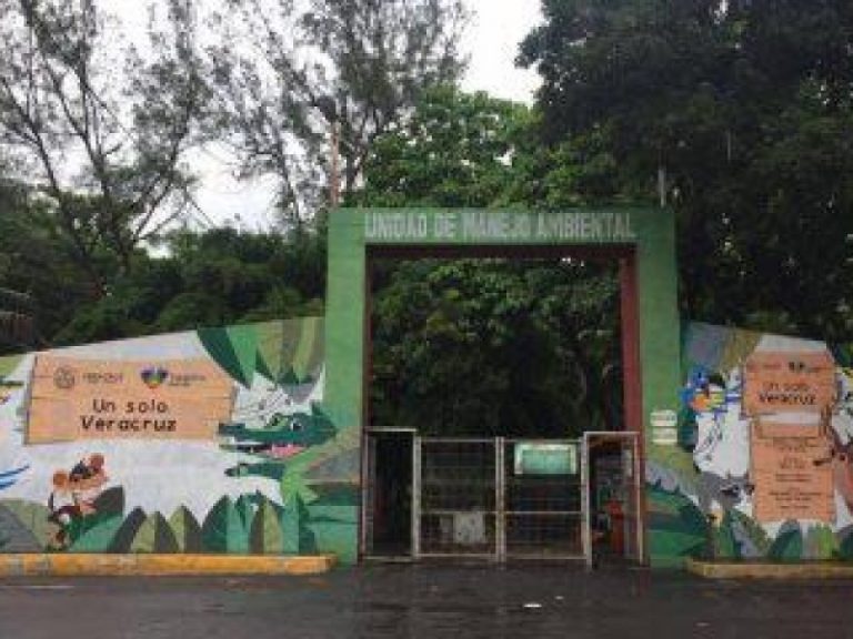 trasciende-mortandad-de-animales-en-zoologico-de-veracruz-119445