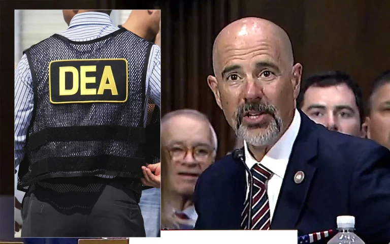 portada-web-Terry-Cole