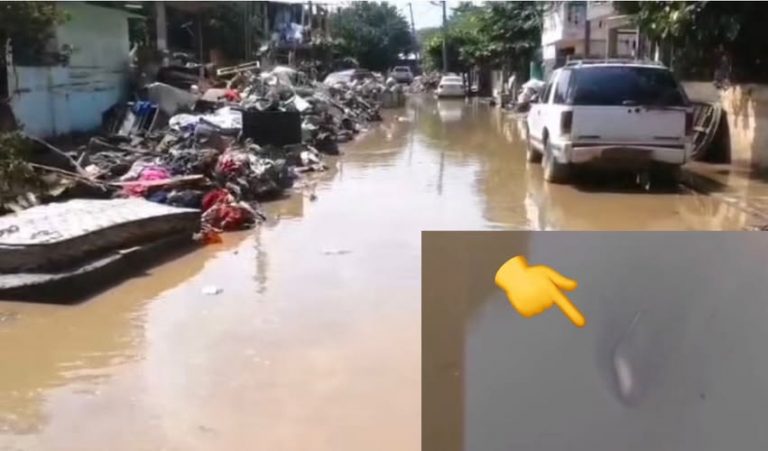 558154468_1242115404614985_2989299444889975053_n